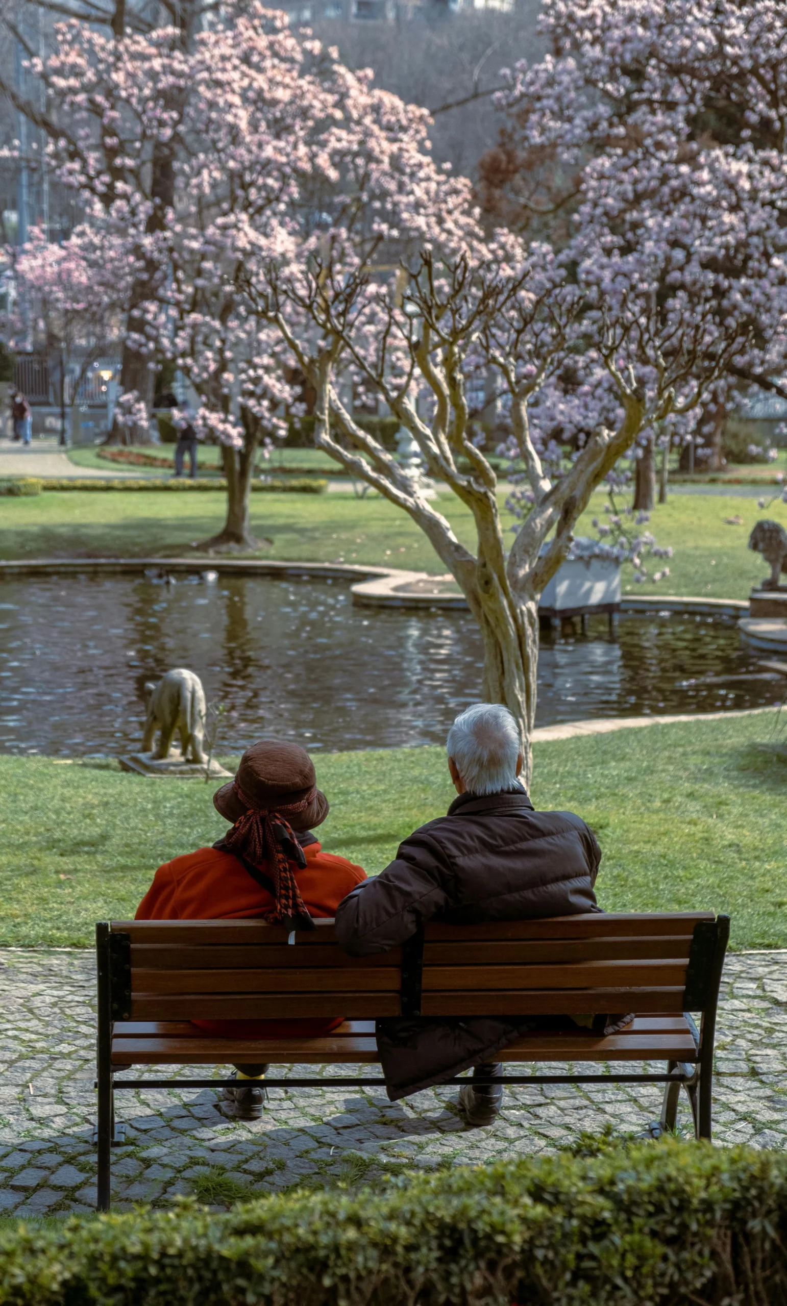 The Role of Environment in Reducing Stress for Seniors